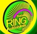 Budai Ring Autós-Motoros Iskola logó